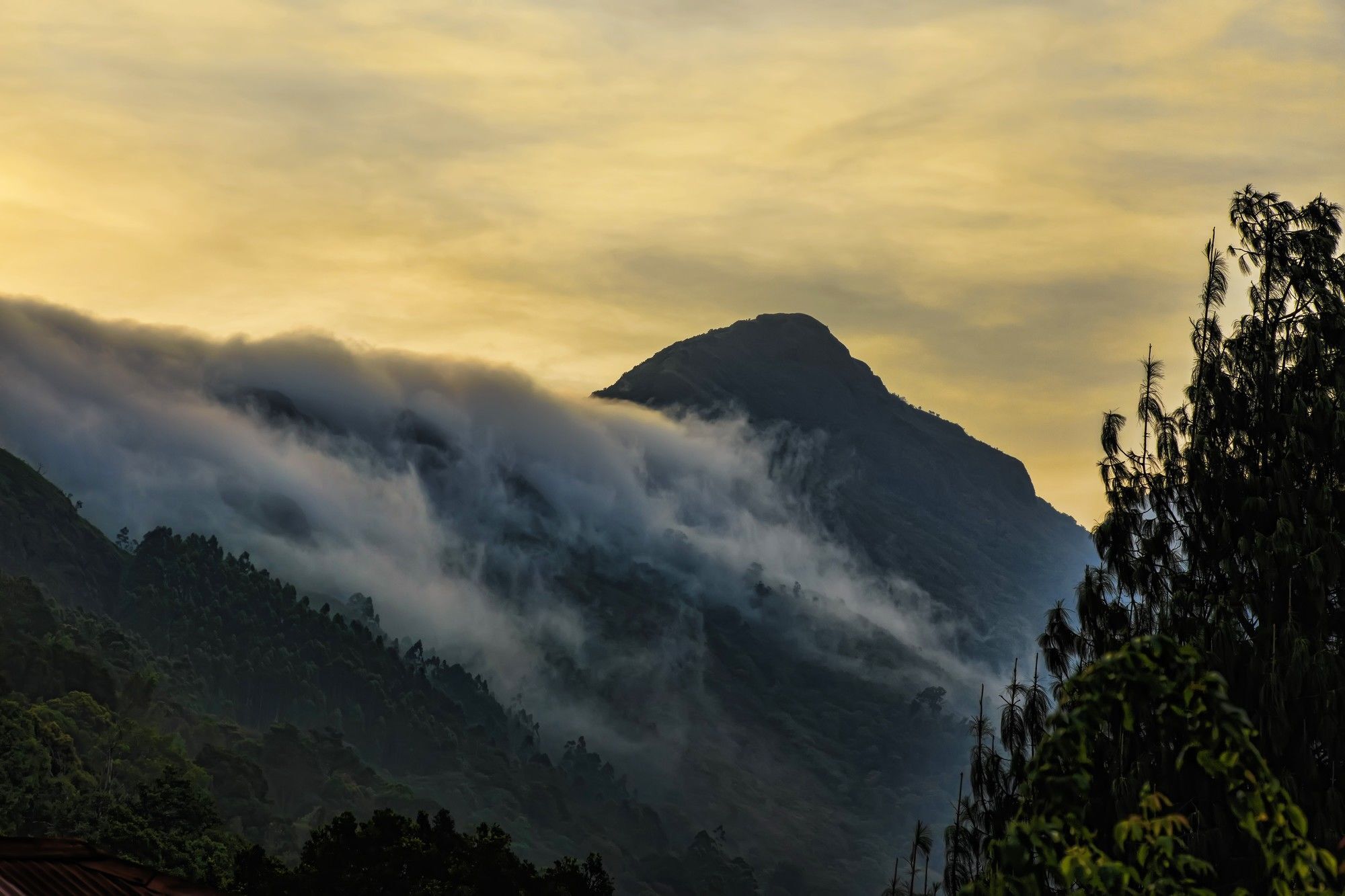 Windermere Estate Munnar Exterior photo